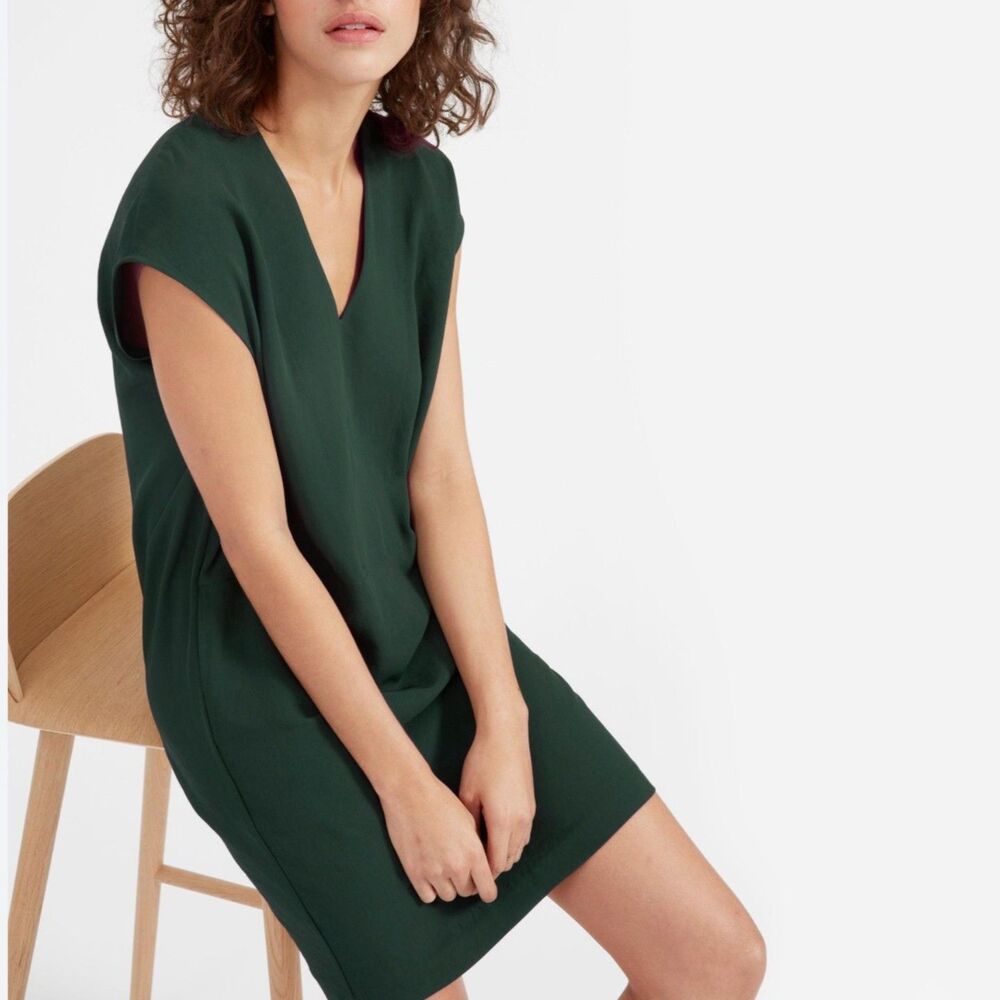 NWT Everlane Women's The Japanese GoWeave V-Neck Cocoon Dress in Green Sz 12